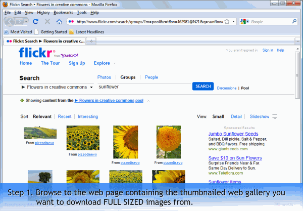 Download images from web galleries in 4 easy steps